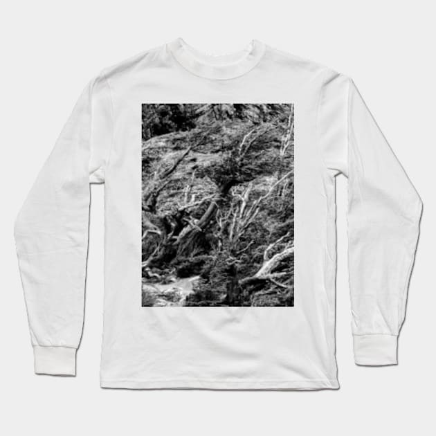 Patagonian Woodland Long Sleeve T-Shirt by Femaleform